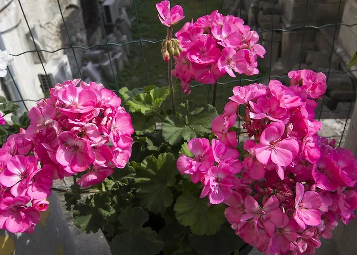 萨比昂切洛公寓