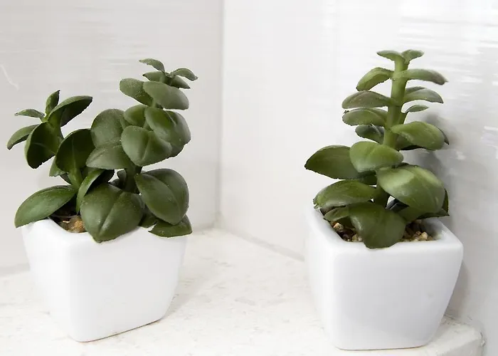 Sabioncello Apartment Split