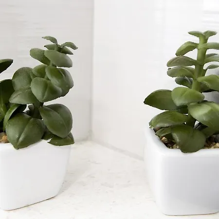 Sabioncello Lejlighed Split